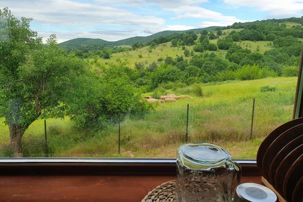 Luxury Villa Bella Lyaskovo Village Dış mekan fotoğraf